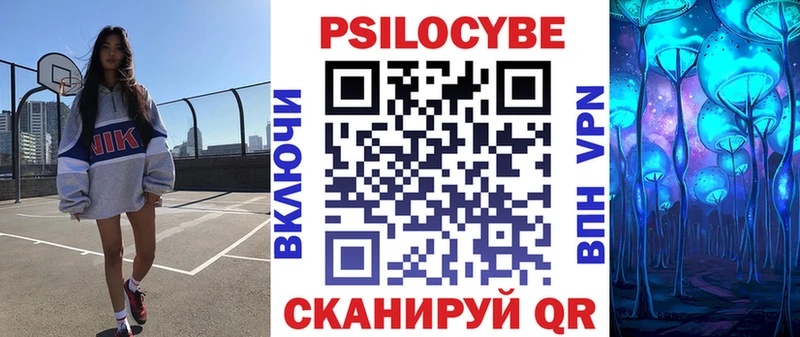 как найти наркотики  Городище  Галлюциногенные грибы мицелий 